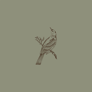 Passerine